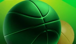 fk buducnost