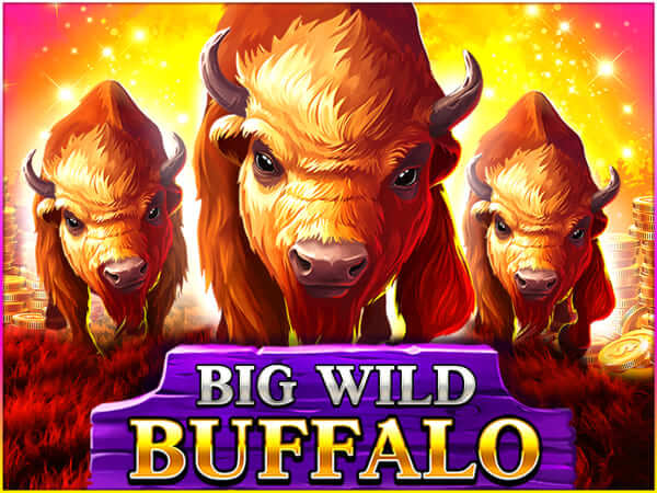 mi online sports betting