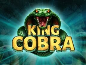 jogo jogo de crash